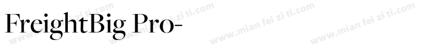 FreightBig Pro字体转换